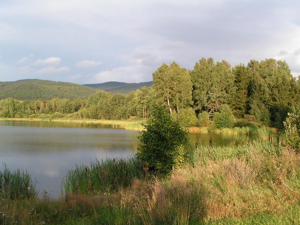 Penzion Mansky Dvur Dolni Zandov Exterior photo
